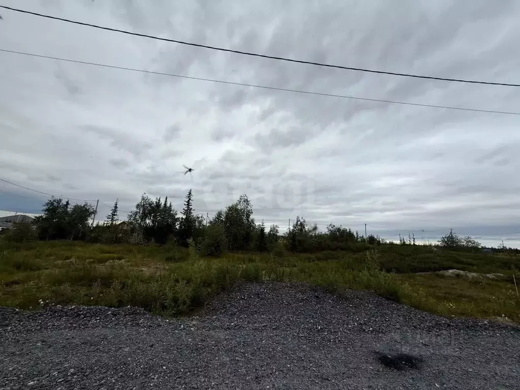 Участок в Ямало-Ненецкий АО, Салехард Радужный мкр, ул. Паши ... - Фото 1