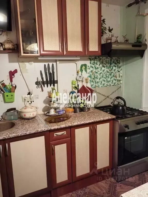 1-к кв. Ленинградская область, Выборгский район, Красносельское с/пос, ... - Фото 2