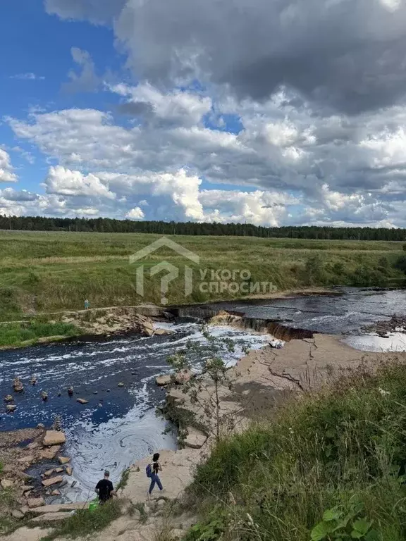 Участок в Ленинградская область, Тосненский район, Ульяновское ... - Фото 1