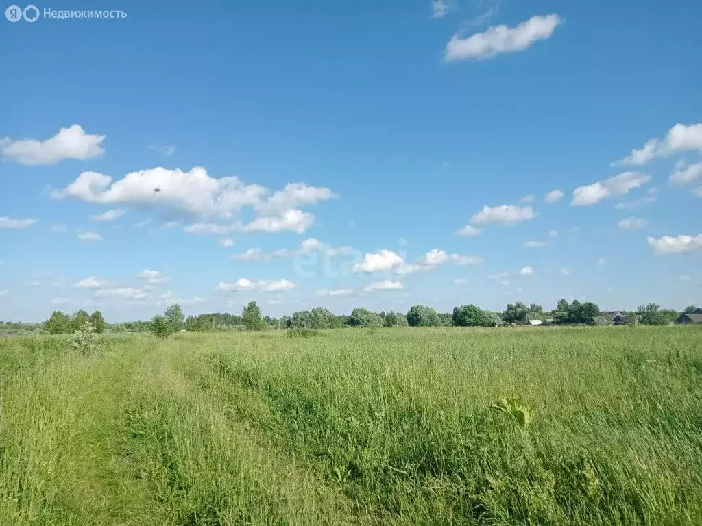 Участок в Ковровский район, муниципальное образование Малыгинское, ... - Фото 0