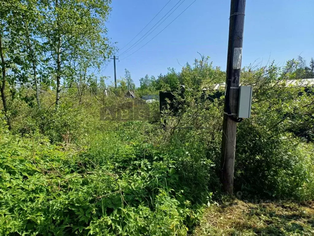 Участок в Новгородская область, Новгородский район, Ермолинское с/пос, ... - Фото 0