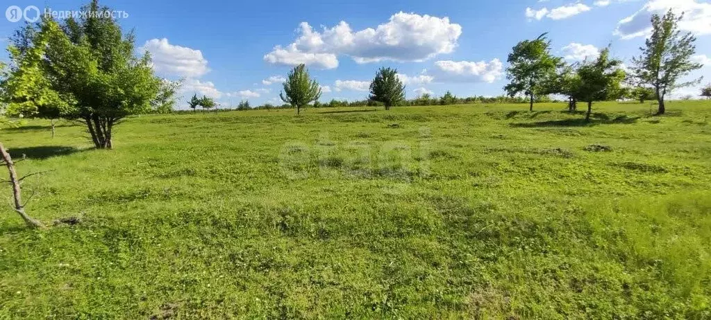 Участок в Рамонский район, село Русская Гвоздёвка (12 м) - Фото 1