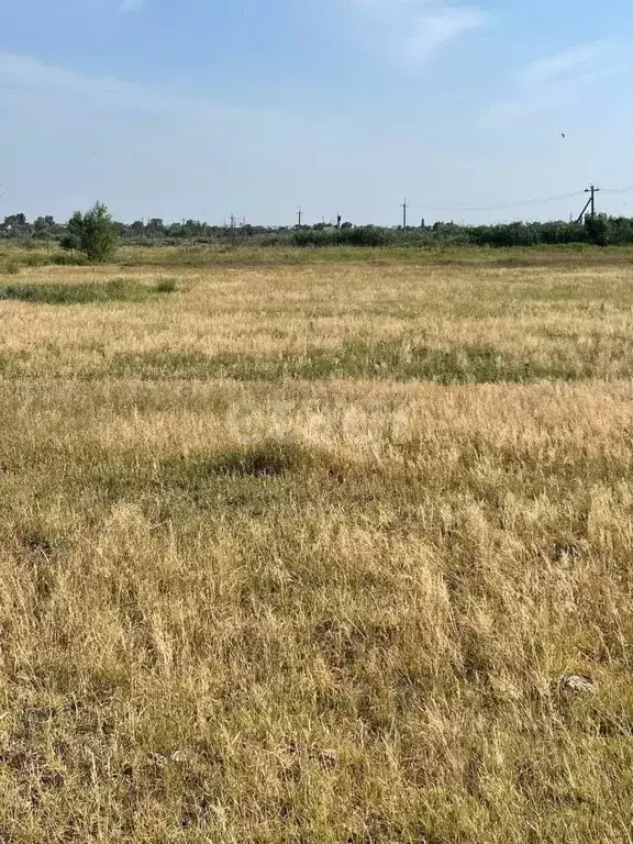 Участок в Ростовская область, Азовский район, Елизаветинское с/пос, ... - Фото 1