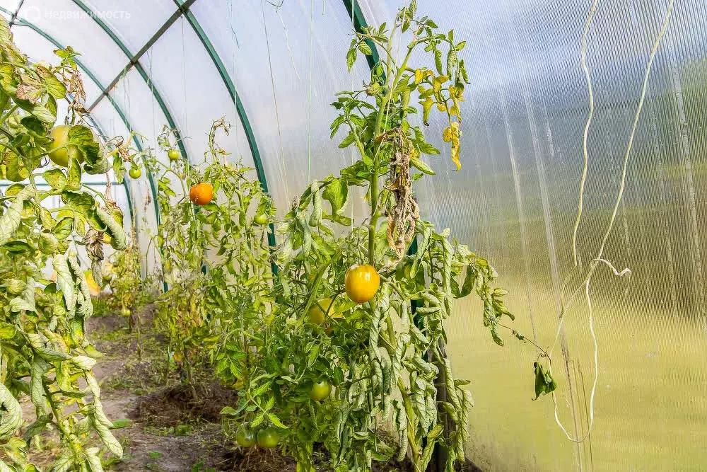 Дом в Тюменский муниципальный округ, деревня Якуши, улица Куприна (50 ... - Фото 1