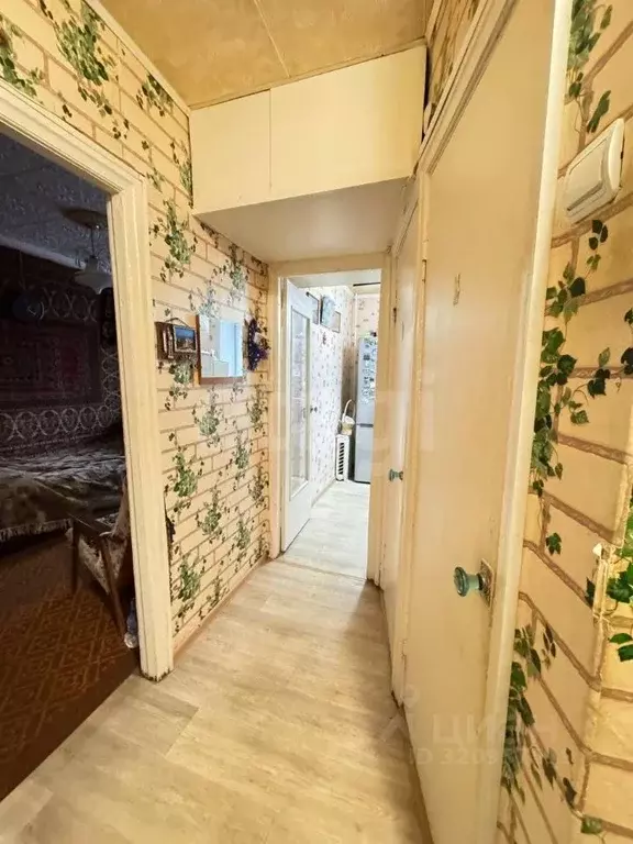 2-к кв. Владимирская область, Костерево Петушинский район, ул. 40 лет ... - Фото 2