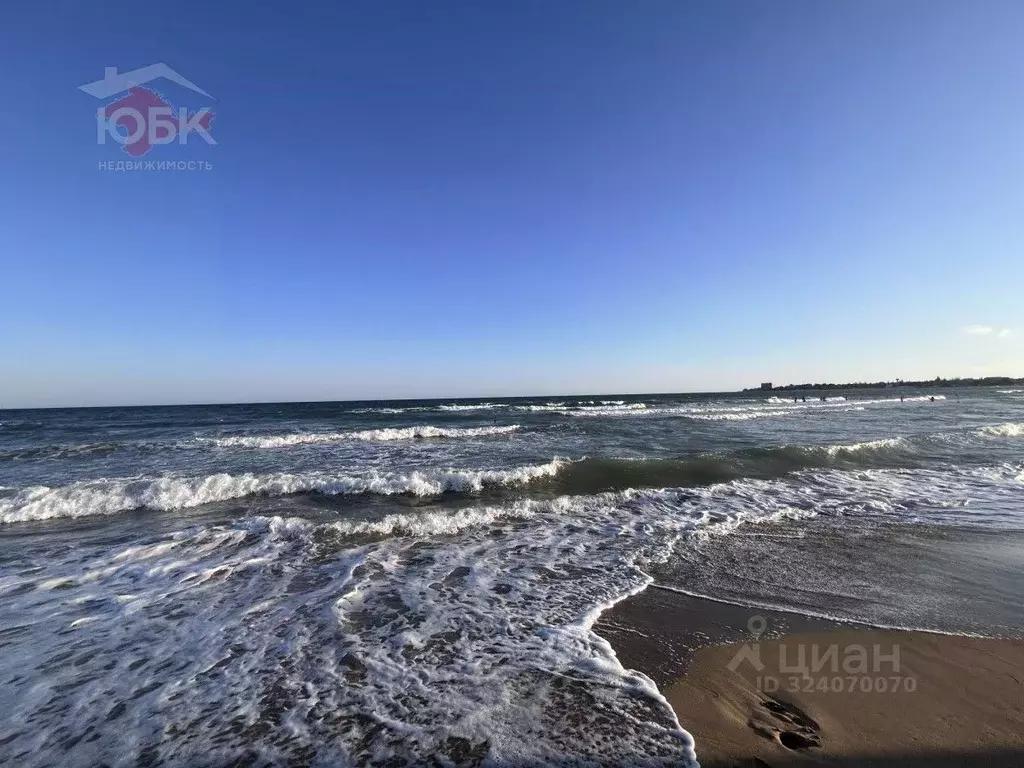 Участок в Крым, Сакский район, Молочненское с/пос, с. Витино  (8.9 ... - Фото 0