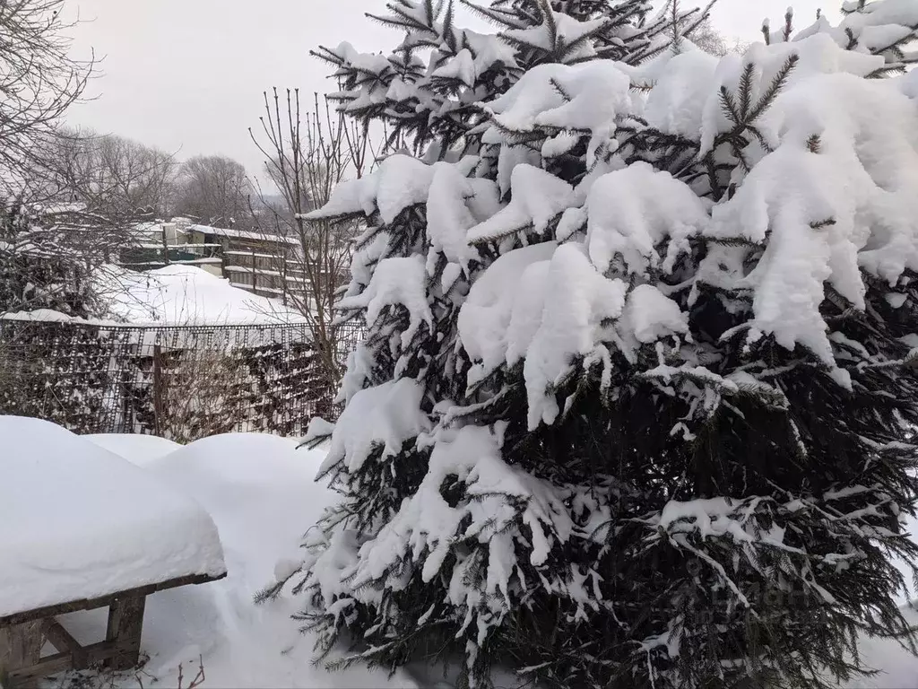 Дом в Московская область, Домодедово городской округ, д. Семивраги  ... - Фото 2