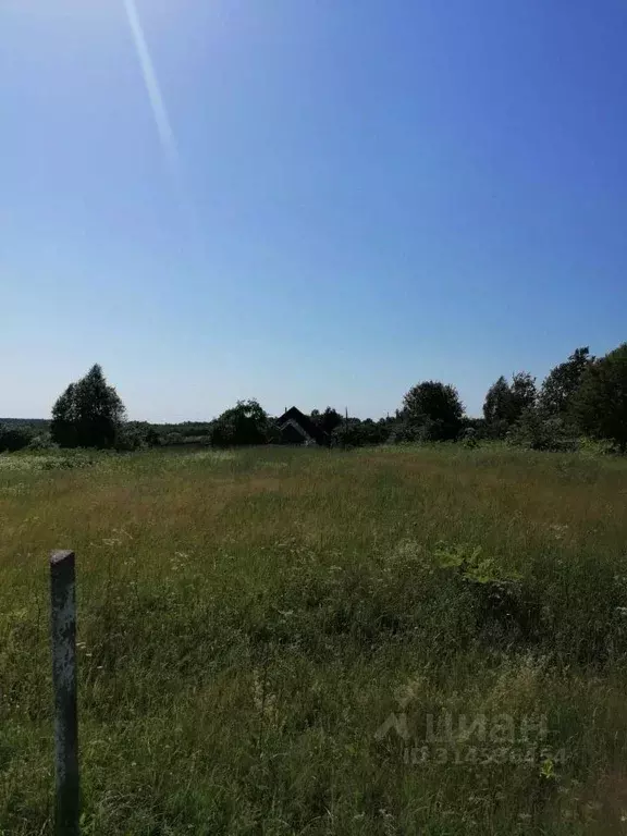 Участок в Тверская область, Калининский муниципальный округ, д. ... - Фото 1