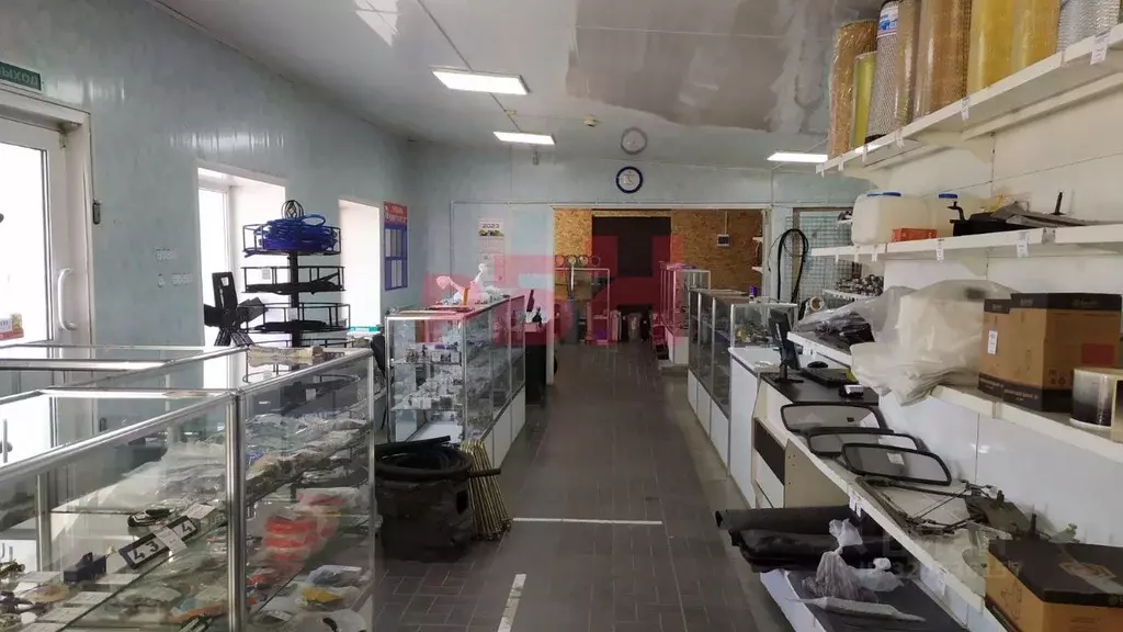 Торговая площадь в Курганская область, Курган Омская ул., 145 (120 м) - Фото 1