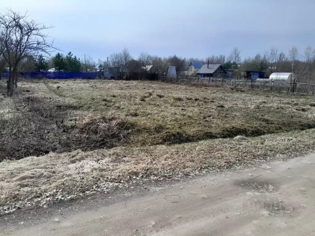 Участок в Вологодская область, Шекснинский муниципальный округ, Заря-2 ... - Фото 2