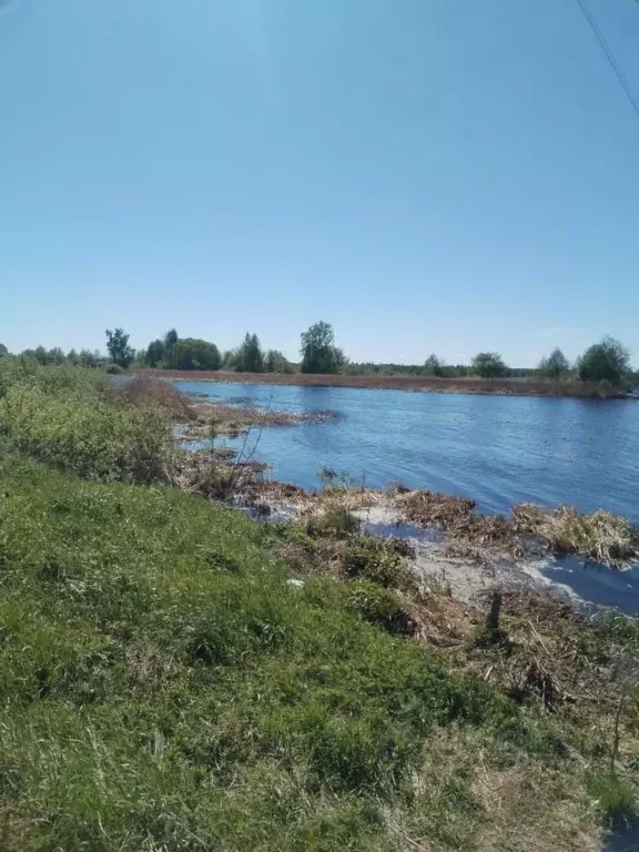 Участок в Ярославская область, Мышкинский муниципальный округ, д. ... - Фото 2