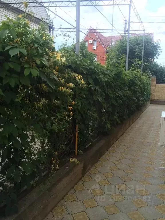 Комната Краснодарский край, Анапа муниципальный округ, с. Витязево ул. ... - Фото 1
