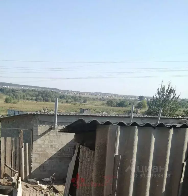 Участок в Белгородская область, Белгородский район, Беловское с/пос, ... - Фото 2