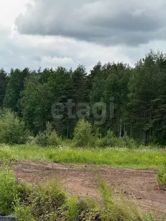 Участок в Ленинградская область, Всеволожский район, Колтушское ... - Фото 1