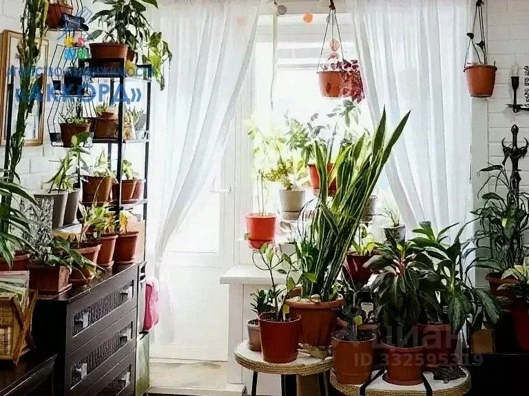 1-к кв. Алтайский край, Бийск Ленинградская ул., 33 (28.2 м) - Фото 1