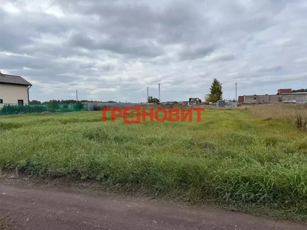 Участок в Новосибирская область, Новосибирский район, Верх-Тулинский ... - Фото 1