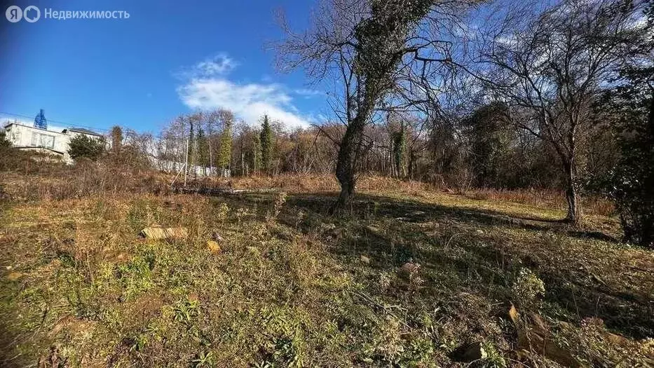 Участок в село Черешня, Гранатовая улица, 30/4 (5 м) - Фото 1