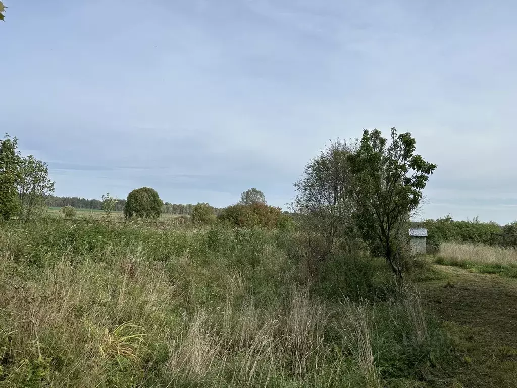 Дом в Ленинградская область, Выборгский район, Красносельское с/пос, ... - Фото 2