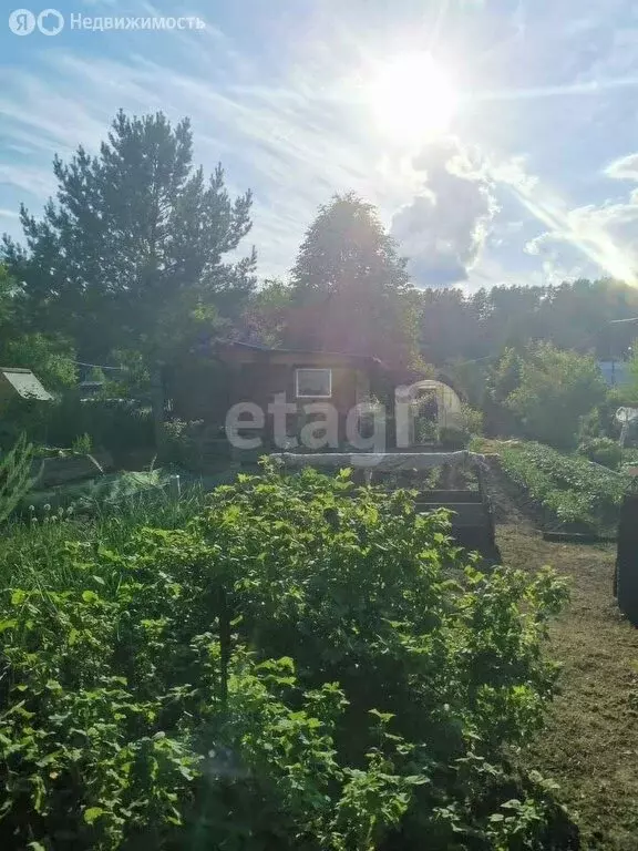 Дом в Томск, СТ Кедр, Бригада № 2 (48 м) - Фото 1