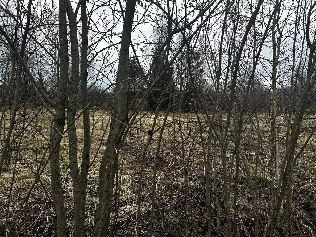 Участок в Московская область, Ступино городской округ, д. Старокурово  ... - Фото 1