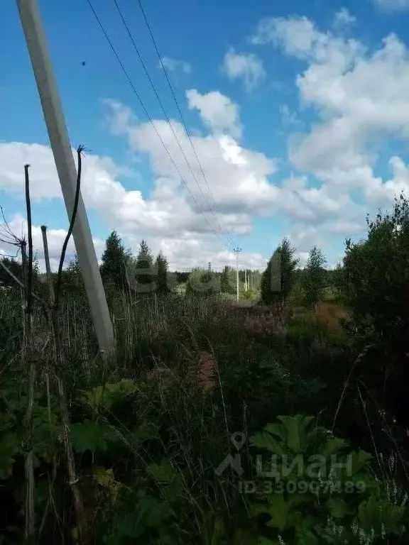 Участок в Ленинградская область, Всеволожский район, Заневское ... - Фото 1