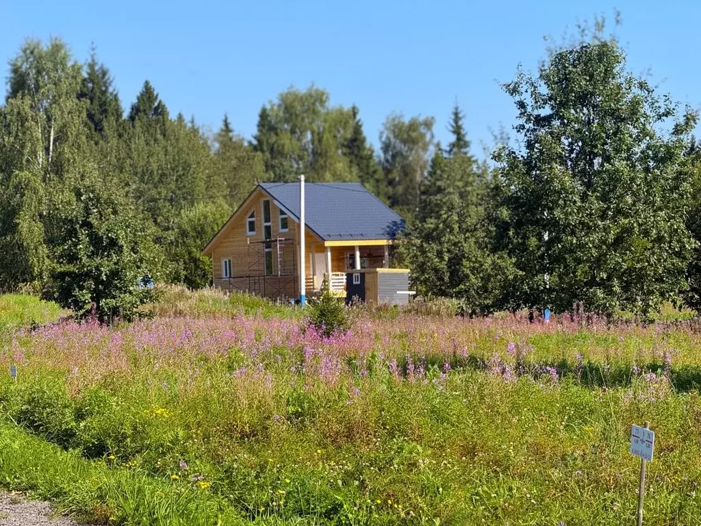 Участок в Московская область, Дмитровский городской округ, Сбоево кп ... - Фото 1