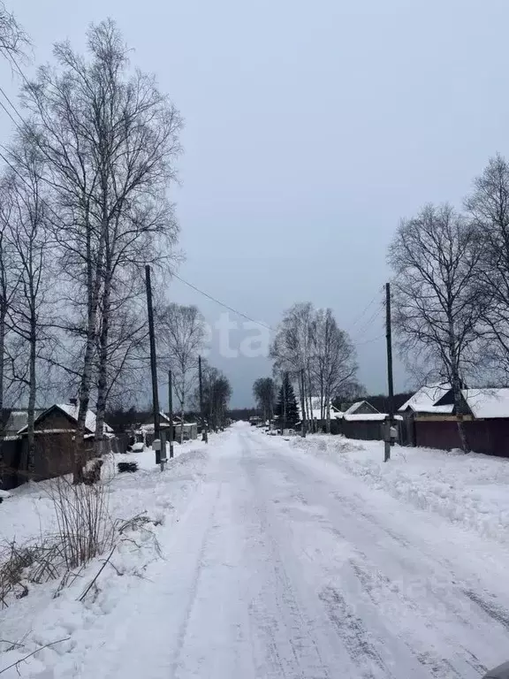 Участок в Хабаровский край, Ванинский район, Октябрьский рп ул. ... - Фото 1