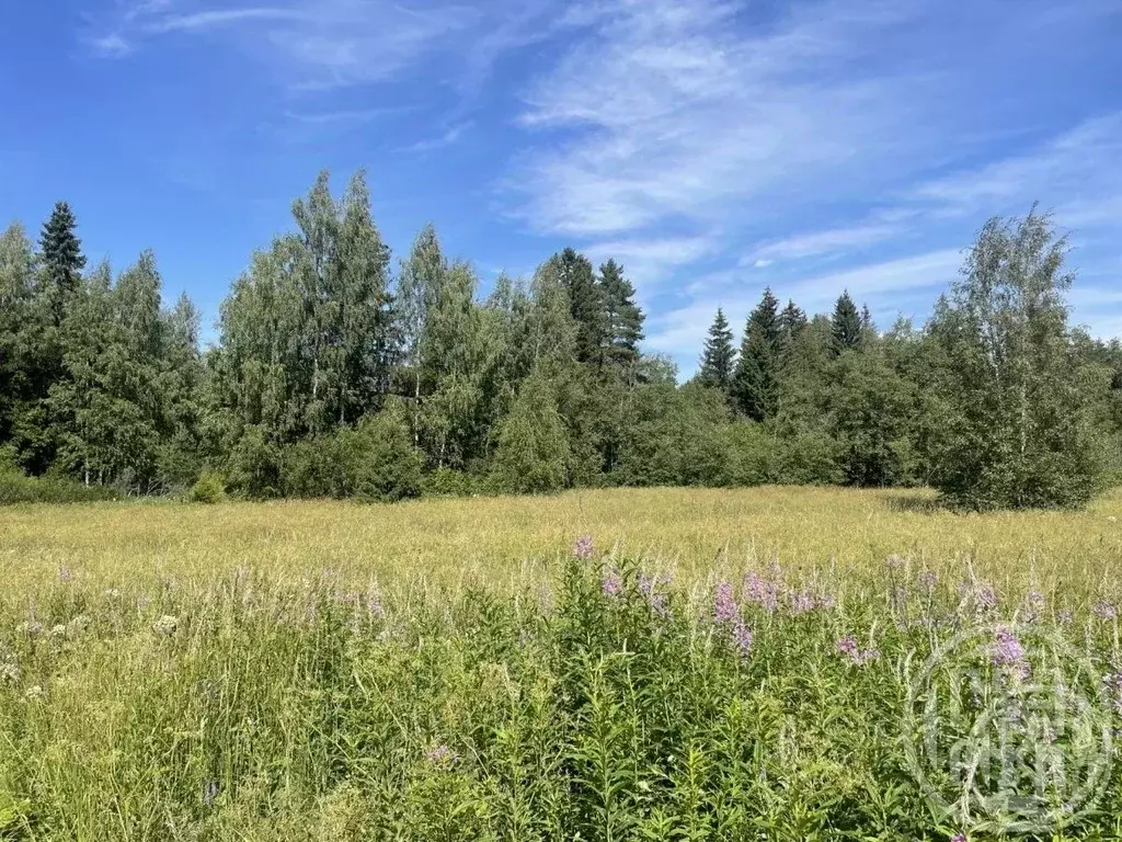 Участок в Ленинградская область, Выборгский район, Селезневское с/пос, ... - Фото 1