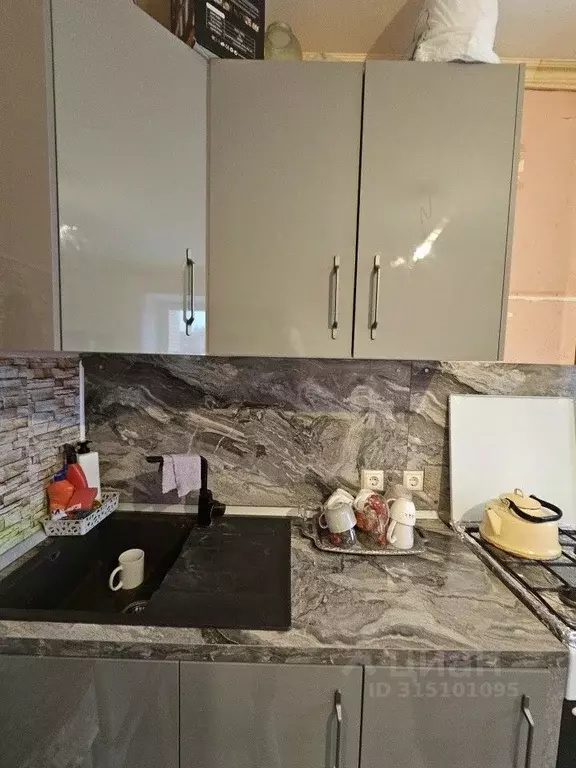 2-к кв. Калужская область, Совхоз Боровский с/пос, д. Кабицыно ул. ... - Фото 2