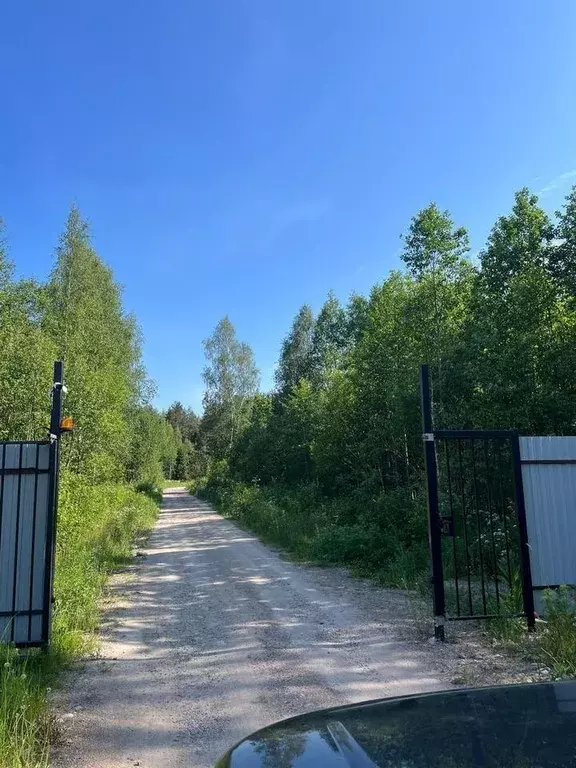 Участок, 9 сот., сельхоз (снт или днп) - Фото 1