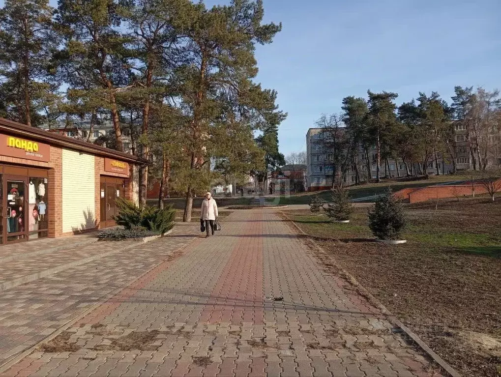 2-к кв. Белгородская область, Шебекино ул. Мичурина, 3 (43.8 м) - Фото 1