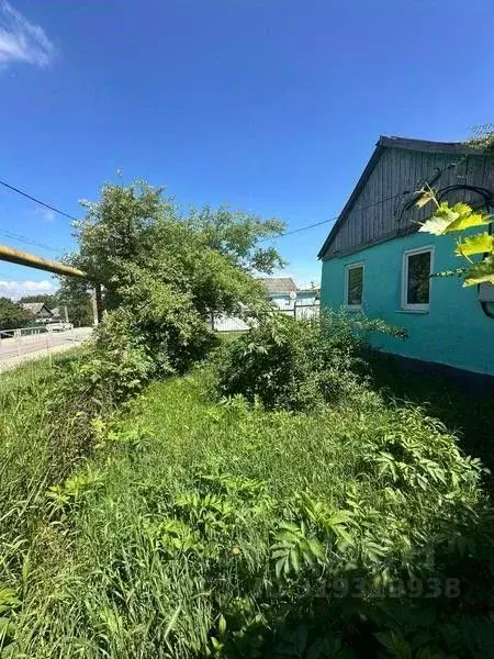 Участок в Краснодарский край, Анапа муниципальный округ, Чекон хут. ... - Фото 1