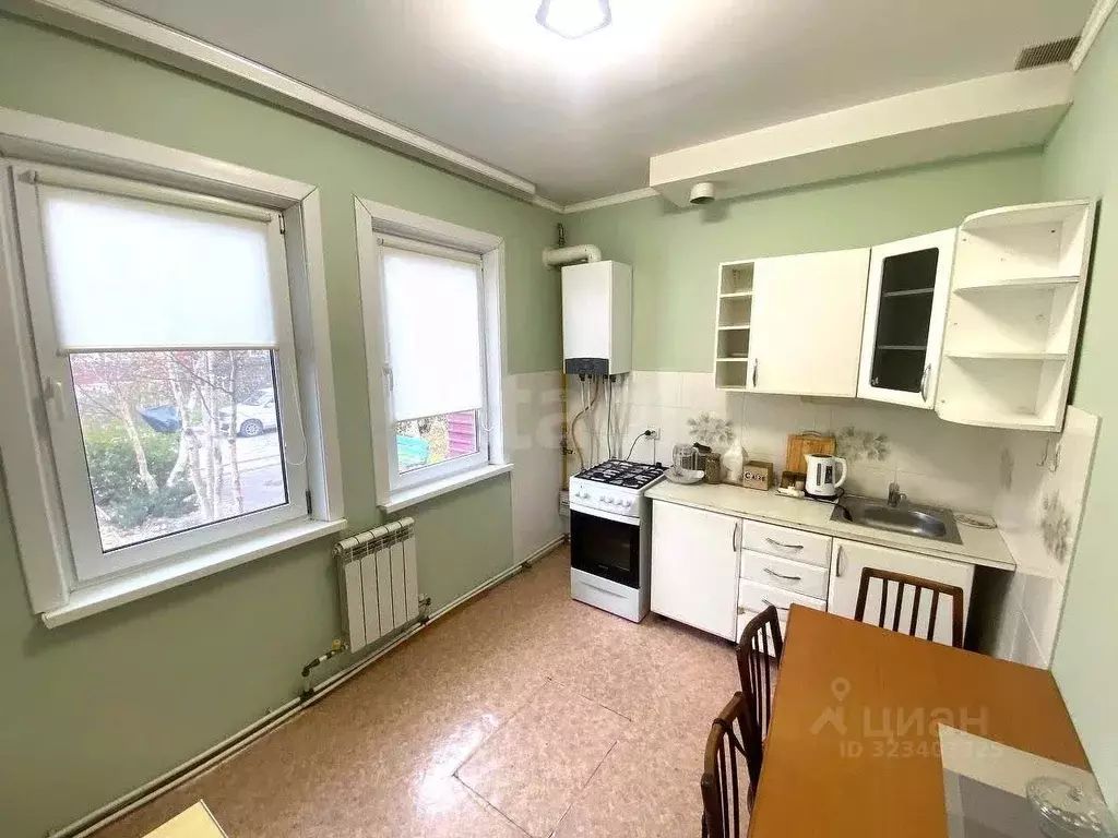 1-к кв. Сахалинская область, Анивский городской округ, с. Троицкое ул. ... - Фото 1