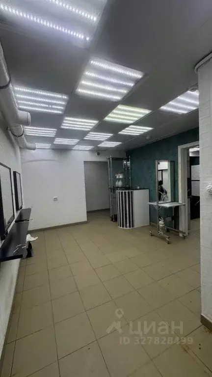 Офис в Новосибирская область, Новосибирск Березовая ул., 19 (48 м) - Фото 1