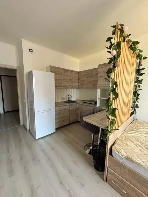 Студия Санкт-Петербург аллея Арцеуловская, 21 (24.5 м) - Фото 2