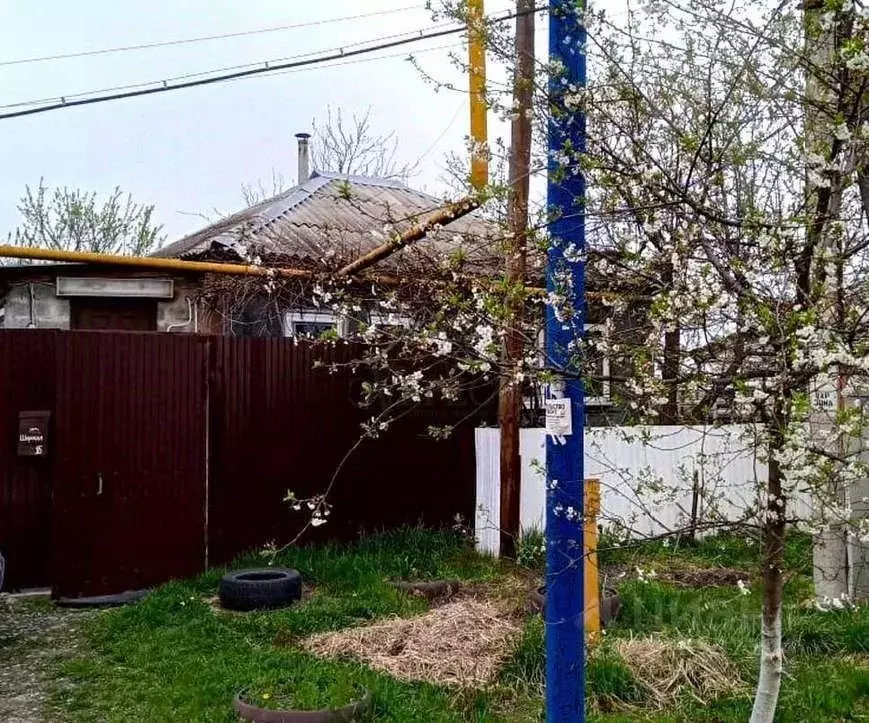 Дом в Белгородская область, Старый Оскол Широкая ул., 16 (36 м) - Фото 1