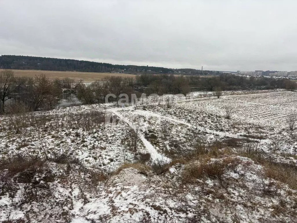 Участок, 250 сот., поселения (ижс) - Фото 1