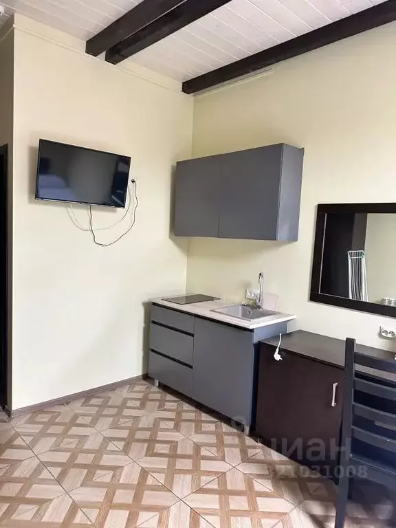 1-к кв. Краснодарский край, Сочи ул. Ленина, 139/1 (25.0 м) - Фото 1
