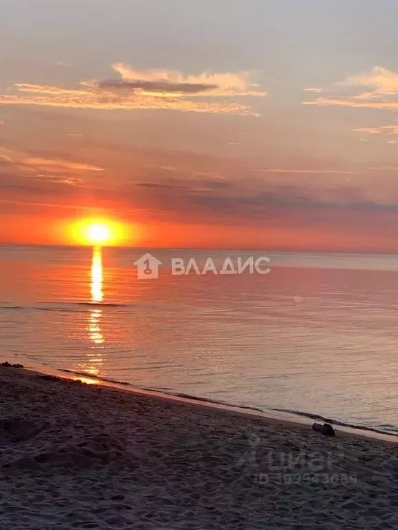 Участок в Калининградская область, Зеленоградск Прибой садоводческое ... - Фото 1