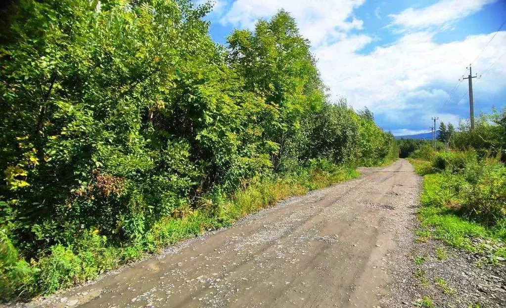 Участок в Хабаровский край, Хабаровский район, с. Бычиха ул. Удачи ... - Фото 1