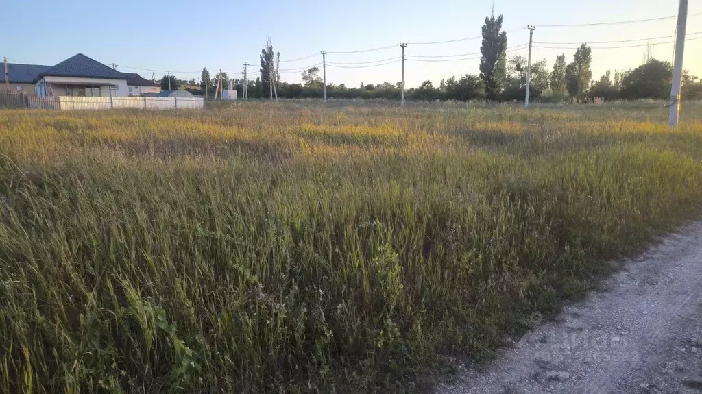 Участок в Краснодарский край, Новороссийск городской округ, ... - Фото 1