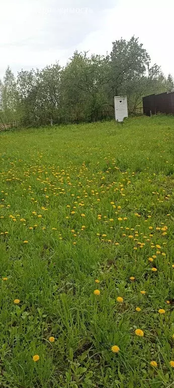 Участок в деревня Гряцкое, 72Б (6 м) - Фото 0