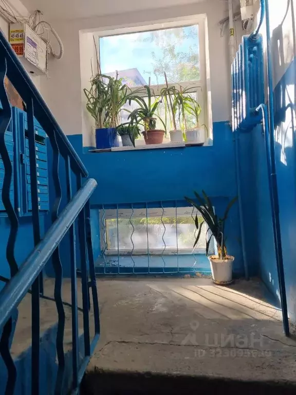 2-к кв. Волгоградская область, Волгоград Шефская ул., 86 (41.9 м) - Фото 2