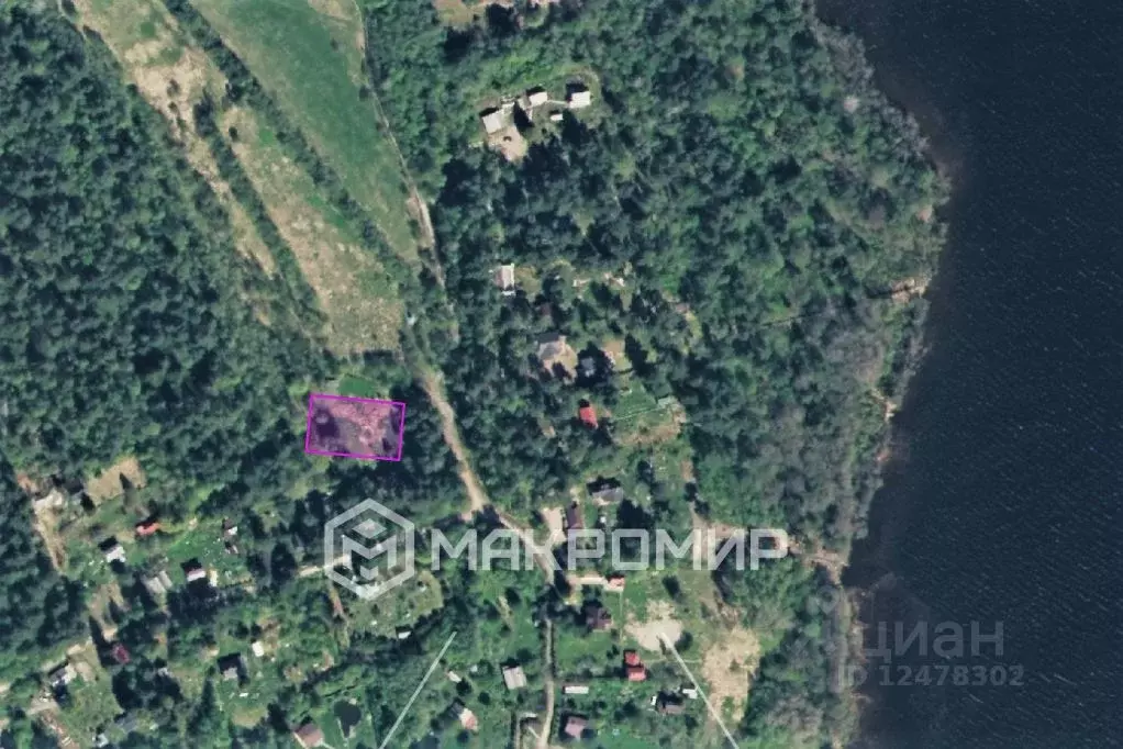 Участок в Ленинградская область, Приозерский район, Громовское с/пос, ... - Фото 2