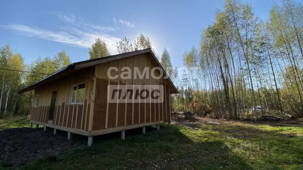 Дом в Архангельская область, Котласский муниципальный округ, д. Борки ... - Фото 2