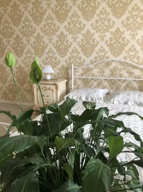 1-к. квартира, 50 м, 8/11 эт. - Фото 1