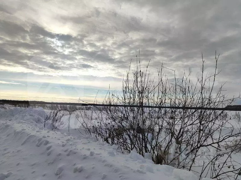 Участок в Тюменская область, Нижнетавдинский муниципальный округ, ... - Фото 2