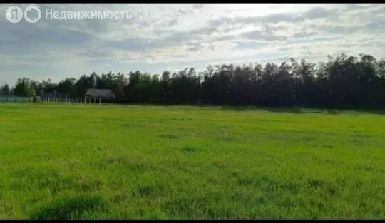 Участок в Якутск, территория Баал Заимката, улица Сайдыы (8 м) - Фото 1