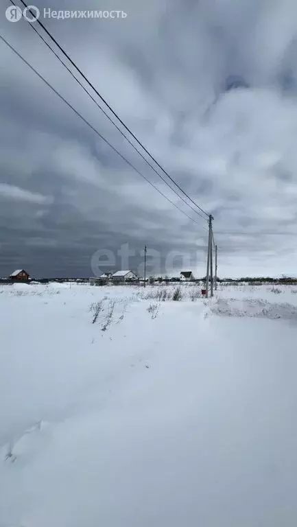 Участок в Калининградская область, Зеленоградский муниципальный округ, ... - Фото 2