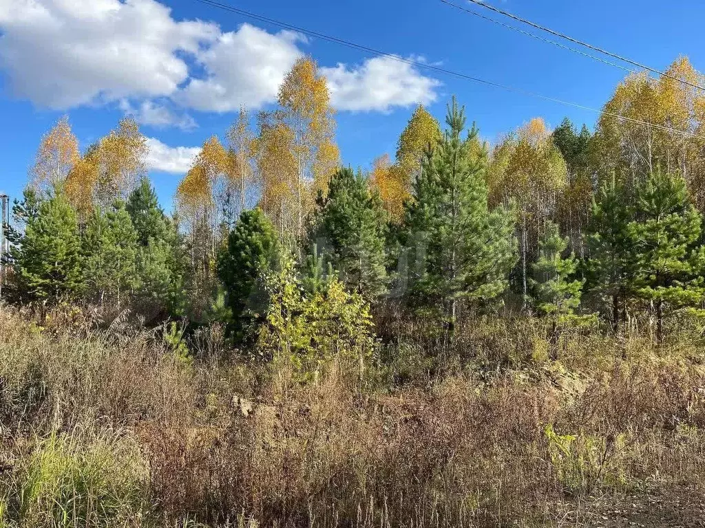 Участок 6 сот. (СНТ, ДНП) - Фото 0